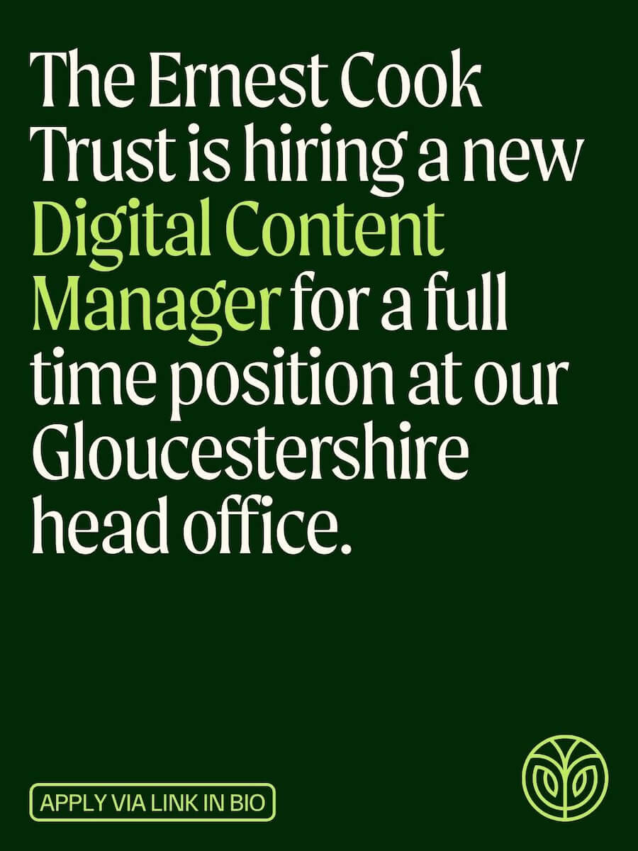 740486570_1361521006075783_46414254410148214_n-2 Digital Content Manager