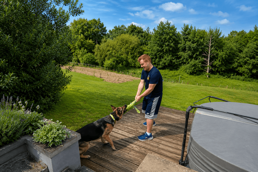 Danny & Tola Landscape-1-2 Pet Owners Urged Not To Leave Christmas Care Until The Last Minute
