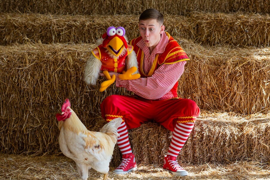 _MG_9981-2 Jack and the Beanstalk cast have ‘GIANT’ fun at Roves Farm